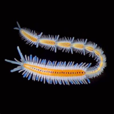  Unicorn Worm: The Underwater Enigma Hiding Secrets Beneath Its Bristles!